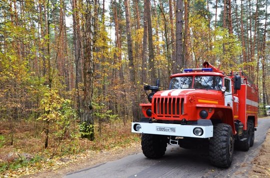 🚒 Подмосковные огнеборцы ликвидировали возгорание сарая и пристроенной к нему беседки, расположенных на территории приусадебного участка в деревне Крюково Чеховского округа